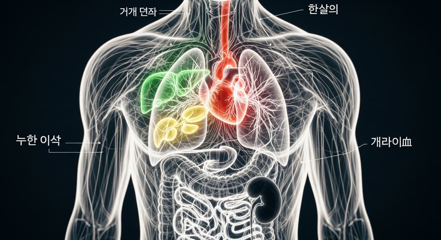 체형만 봐도 알 수 있는 나의 타고난 체질 - 현대의학 증명